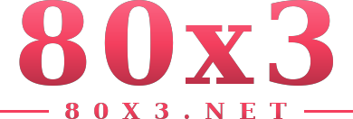 80x3 logo